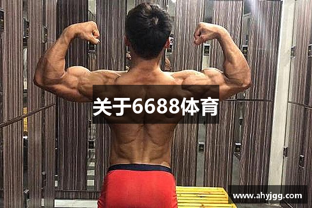 关于6688体育